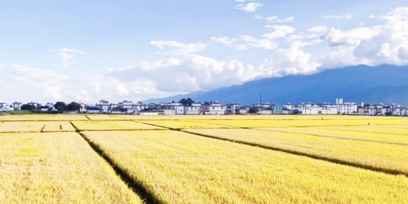 DU LỊCH TRUNG QUỐC 5N4Đ – CÁT BI – LỆ GIANG – SHANGRI LA – CÁT BI
