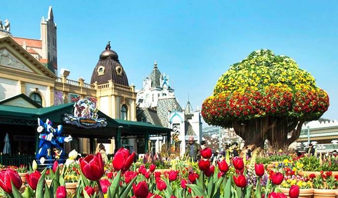 DU LỊCH HÀN QUỐC 6N5Đ – HÀ NỘI – BUSAN-  SEOUL – ĐẢO NAMI