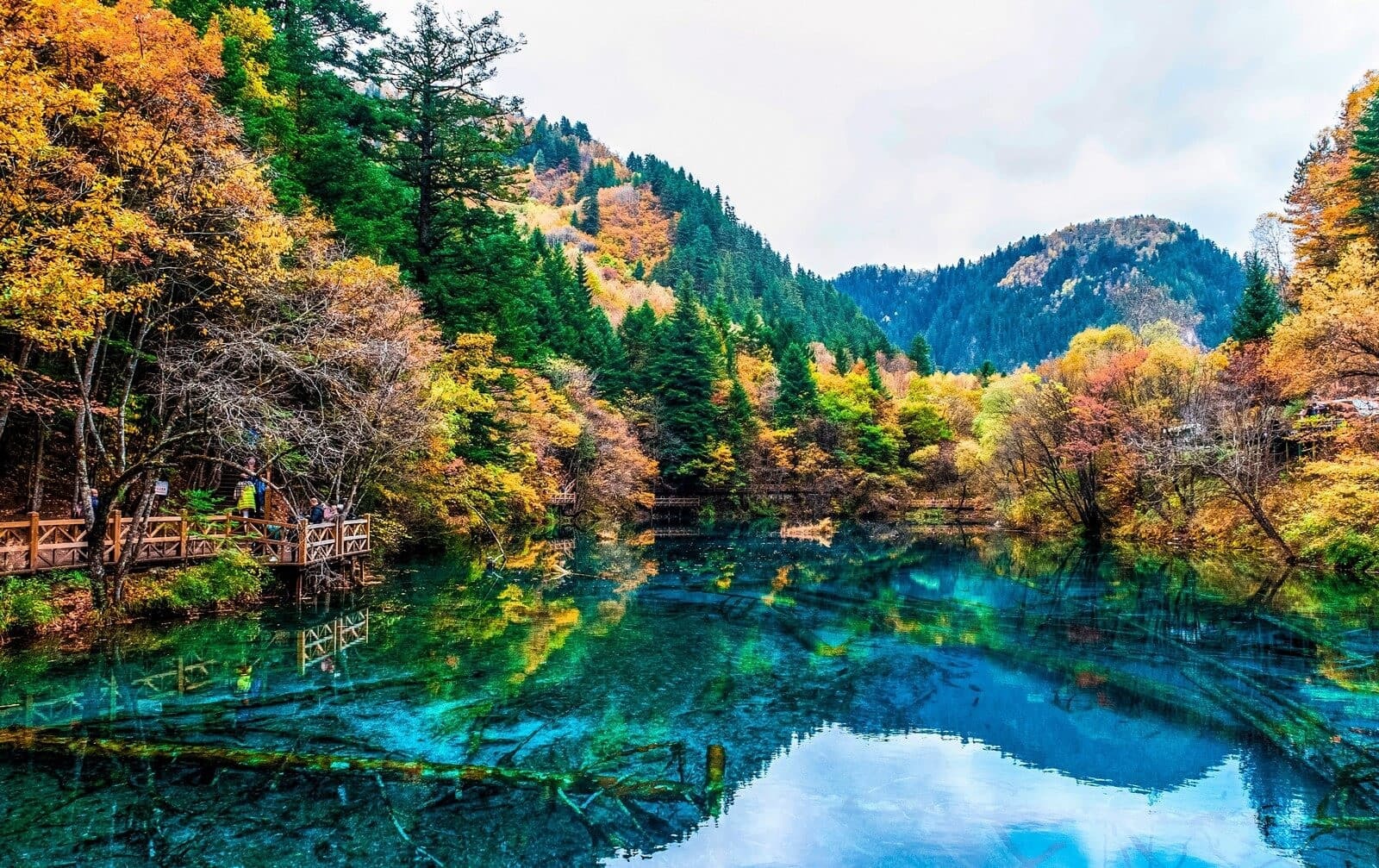 DU LỊCH TRUNG QUỐC 6N5Đ – CỬU TRẠI CÂU – CÔNG VIÊN GẤU TRÚC – LẠC SƠN ĐẠI PHẬT