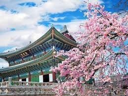 DU LỊCH HÀN QUỐC 5N4Đ – HÀ NỘI – SEOUL – NAMI – CÔNG VIÊN EVERLAND