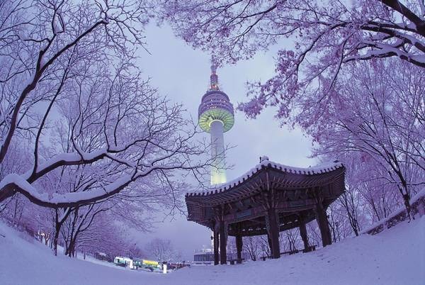 DU LỊCH HÀN QUỐC 6N5Đ – HÀ NỘI – BUSAN-  SEOUL – ĐẢO NAMI