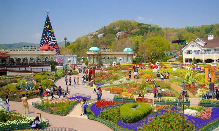 DU LỊCH HÀN QUỐC 5N4Đ – HÀ NỘI – SEOUL – NAMI – CÔNG VIÊN EVERLAND
