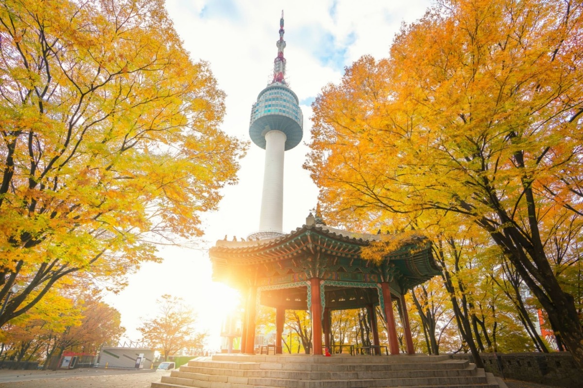 BUSAN – SEOUL – NAMI – HÁI TÁO/HÁI LÊ – SEOUL