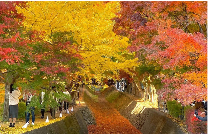 Tour Nhật Bản : DU LỊCH NHẬT BẢN – NÚI PHÚ SĨ – TOKYO