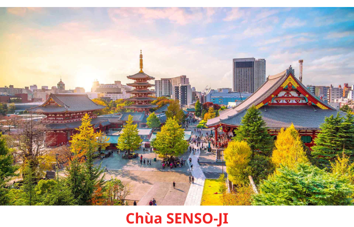 Tour Nhật Bản : DU LỊCH NHẬT BẢN – NÚI PHÚ SĨ – TOKYO