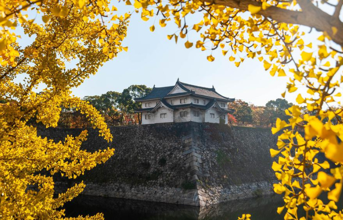 Tour Nhật Bản : DU LỊCH NHẬT BẢN – NÚI PHÚ SĨ – TOKYO