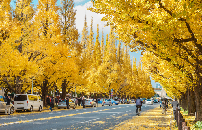 Tour Nhật Bản : DU LỊCH NHẬT BẢN – NÚI PHÚ SĨ – TOKYO