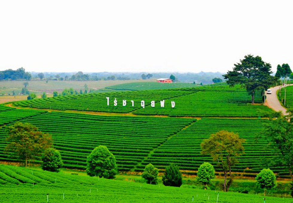Tour Thái Lan CHIANG MAI- CHIANG RAI – TAM GIÁC VÀNG 4N3Đ