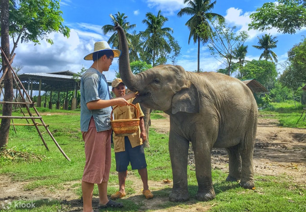 Tour Thái Lan CHIANG MAI- CHIANG RAI – TAM GIÁC VÀNG 4N3Đ